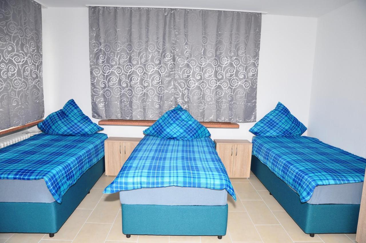 Weisenau Plaza Hostel Μάιντς Εξωτερικό φωτογραφία
